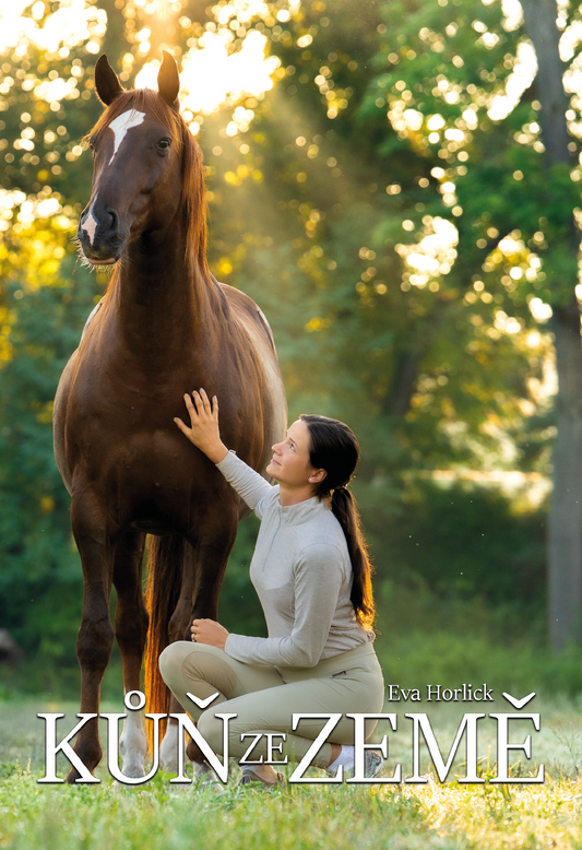 Jak si vybrat správného učitele